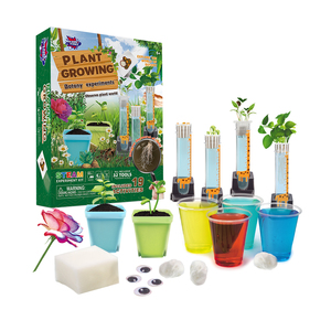 Educatief Speelgoed Voor Kinderen Kinderen Groene Science <span class=keywords><strong>Kit</strong></span> Hot-Selling Plant <span class=keywords><strong>Growing</strong></span> Science <span class=keywords><strong>Kit</strong></span> Voor Kinderen - Product Image 1