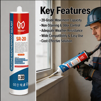 INGADA SR-20 Mastic silicone 100% imperméable 300ml, non tachant, pour fenêtres et portes