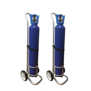 Carrito para Cilindros de Oxígeno WQ de 10L, con Marco de Acero, 2 Ruedas, Carro Móvil para Uso Médico - Product Image 1