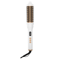 Revlon 2-in-1 Brosse à cheveux thermique PTC Brosse ronde chauffante pour cheveux secs Portable avec affichage LCD de la température Source d'alimentation électrique
