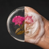 Savon artisanal aux fleurs séchées naturelles, glycérine transparente, huile essentielle botanique, hydratant, soin nettoyant pour le visage, le corps et le bain