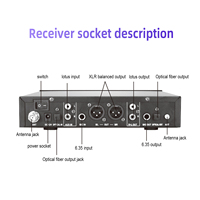 Système de microphone sans fil dynamique cardioïde en métal Green Audio avec suppression du bruit, effets de réverbération et égaliseur FM UHF pour karaoké
