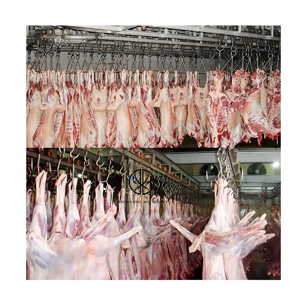 मुस्लिम हलाल बकरी वध घर उपकरण मांस प्रसंस्करण शव परिवहन और भंडारण संप्रेषित द्रुतशीतन कमरे के लिए रेल भेड़