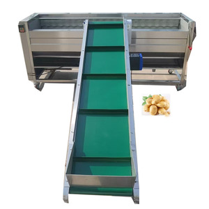 Machine industrielle et commerciale <span class=keywords><strong>de</strong></span> lavage et <span class=keywords><strong>de</strong></span> pelage <span class=keywords><strong>de</strong></span> légumes, éplucheuse à rouleaux à brosses pour pommes <span class=keywords><strong>de</strong></span> <span class=keywords><strong>terre</strong></span>, carottes, <span class=keywords><strong>oignons</strong></span> – Grande vente aux États-Unis - Product Image 1