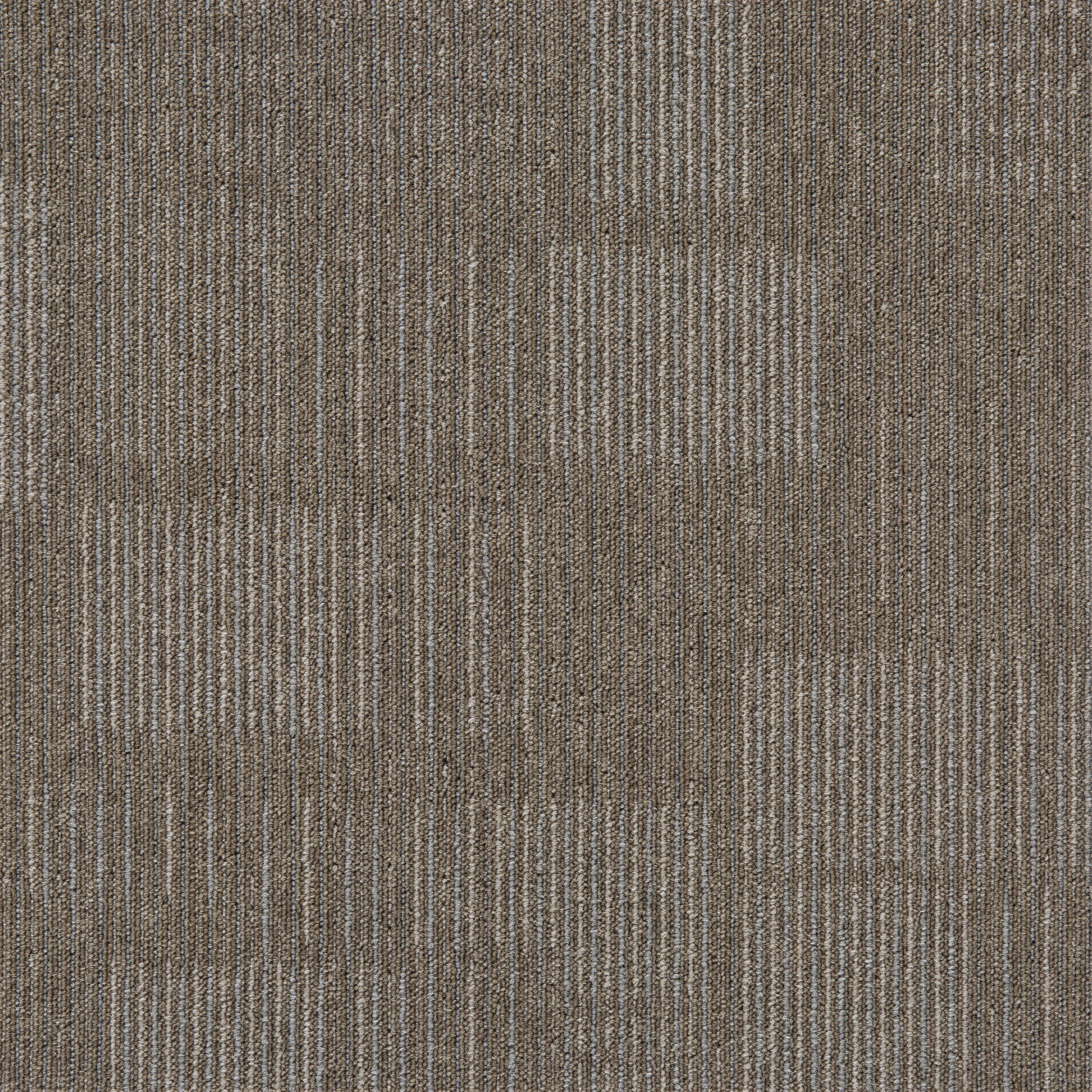 Grey03