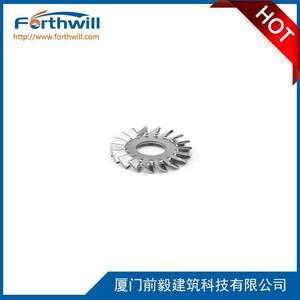 แหวนล็อคฟันเลื่อยสแตนเลส Forthwill สำหรับงานอุตสาหกรรมทั่วไป - Product Image 2