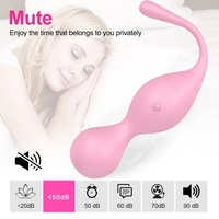 Großhandel Doppel-Kegel-Bälle Vibrator Kabellose Fernbedienung Tragbare Silikon Vaginal-Trainingsbälle Beckenbodentrainer für Damen