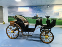 Véhicule de tourisme électrique certifié CE pour projets de tourisme, type calèche à chevaux
