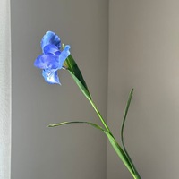 Bunga Iris Irlandia Buatan Batang Tunggal, Bunga Tiruan untuk Dekorasi Pernikahan, Dekorasi Rumah, Ruang Tamu, dan Dekorasi Pintu Masuk