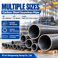 Tuyau sans soudure en acier au carbone noir ASTM A53 A106 API 5L pour chaudières et systèmes sous pression