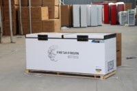 Réfrigérateur de supermarché à double porte 418L, 220V, refroidissement direct, vitrine réfrigérée, congélateur pour fruits de mer et glaces