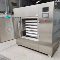 Professionele leverancier van magnetron vacuümdroogkasten voor snelle dehydratatie van fruit en groenten