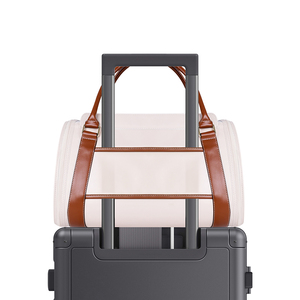 थोक स्टॉक व्यक्तिगत नए डिजाइनर पालतू बैग फैशनेबल वाटरप्रूफ चमड़े की यात्रा कुत्ते वाहक लक्जरी आउटडोर बैग लक्जरी आउटडोर - Product Image 5