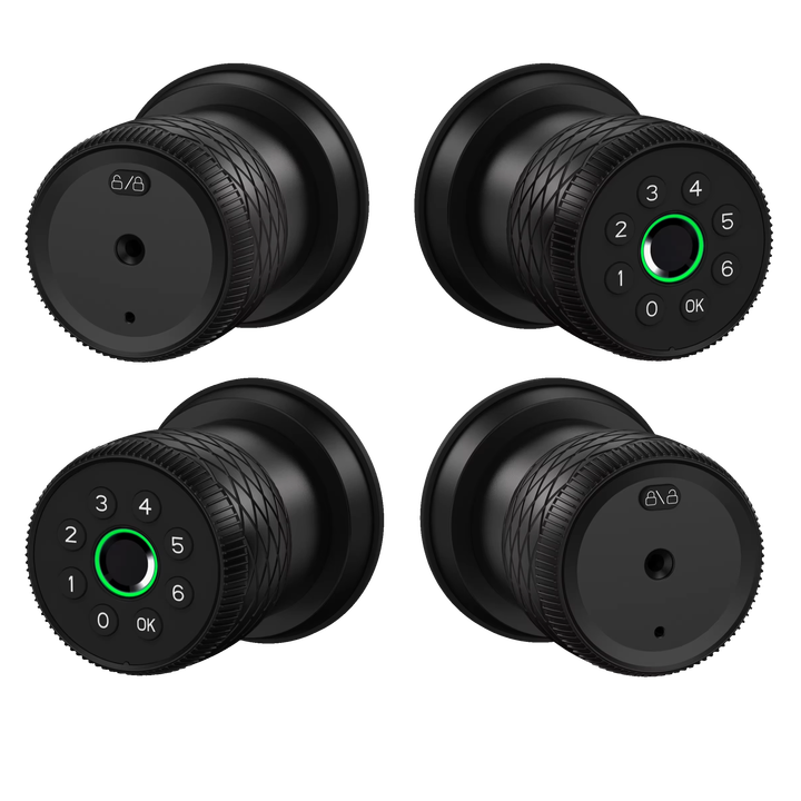 Smart Fingerprint and Password Door Lock with Tuya App Temporary Code ...