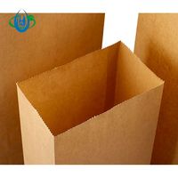 Sac de shopping en papier kraft recyclable imprimé avec logo personnalisé, résistant à la graisse, avec poignée Flexiloop, taille personnalisée pour l'emballage de sacs SOS