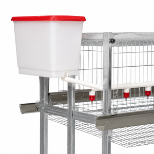 Sistema di Allevamento Automatico per 40.000 Polli, Gabbie per Alimentazione, Sistema a Batteria Tipo H per Galline Ovaiole - Product Image 4