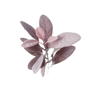 Fiori Artificiali di Alta Qualità, Foglie a Orecchie di Coniglio per Decorazione Casa e Feste, Ramo di Pianta in Seta Viola dall'Aspetto Realistico - Product Image 5