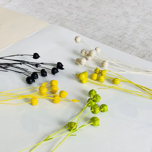 Suministro de floristería de alta calidad Natural Real Fresh Everlasting Jequirity Bean Jumble-beads Flores secas para la decoración del hogar - Product Image 1