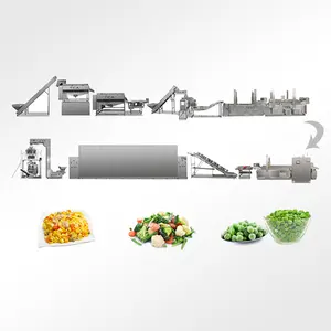 TCA全自动商用电动绿叶蔬菜切果机清洗机生产线