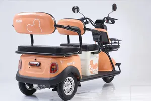 Tốt Nhất Bán Phổ Biến E Xe Đạp 600W 60V Điện Ba Bánh Xe Gắn Máy Với Axit Chì Pin 3 Bánh Xe Scooter Cho Người Lớn