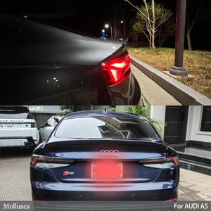 สำหรับ A5 S5 B9 RS5 4ประตูแบบสปอร์ตด้านหลังคาร์บอนไฟเบอร์สไตล์ S 2016-2025 - Product Image 6