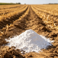 Poudre de chaux calcinée pour l'agriculture, ajustement du pH du sol, fournie directement par l'usine