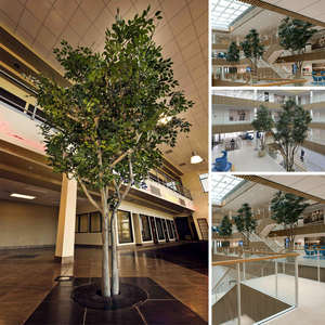 Decoración con arboles falsos Edificios de oficinas y negocios Ficus Banyan artificiales en <span class=keywords><strong>el</strong></span> Centro Marítimo Internacional - Product Image 4