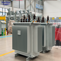 SinoShine Transformador de Distribución Trifásico de 10KV 11KV 50 KVA 100 KVA 200 KVA MV HV Sumergido en Aceite para Uso Inteligente