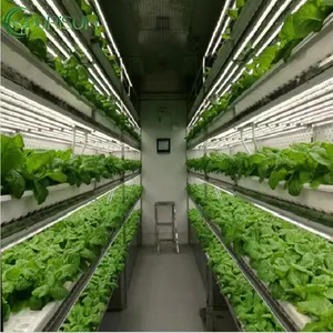 Indoor hydroponics commercial microgreen growing system hydroponics plant system greenhouse hydroponics container Farm