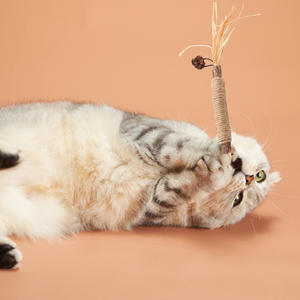 Pet Natural Silvervine Matatabi <span class=keywords><strong>Cat</strong></span> Chew Sticks Blend Sticks Lafite Grass Fruits <span class=keywords><strong>Cat</strong></span> Toys Catnip Toys for <span class=keywords><strong>Cat</strong></span> - Product Image 5