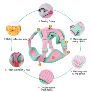 Set de Arnés y Correa de Malla Transpirable y Colorido para Perros y Gatos con Logo Personalizado para Perros Pequeños y Medianos - Product Image 3