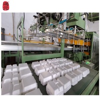 Petite machine à fabriquer des assiettes jetables en polystyrène pour la vente