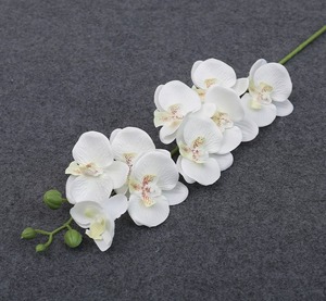 Tự nhiên Nhân Tạo Hoa phong lan hoa nhân tạo bướm phong lan cho trang trí nội thất phong lan hoa trang trí - Product Image 5