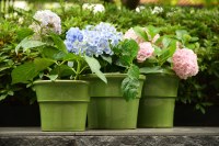 Ensemble de pots de fleurs en céramique écologiques de style américain, durables, design à bordure étagée vert olive brillant pour l'intérieur/l'extérieur