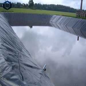 Geomembranas HDPE Membrana 40 Mils Linh Hoạt HDPE Màng Chống Thấm Lót HDPE Geo Vật Liệu Màng Cho Xử Lý Nước Thải Hồ Bơi - Product Image 2