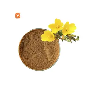 Halal lớp truyền thống nhà máy thảo dược Evening Primrose chiết xuất Primrose chiết xuất