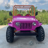 Mini Jeep électrique Caiteng pour adultes, 500cc, 4x4, Dune Buggy Willys UTV, 2 places, transmission automatique, garantie de 2 ans