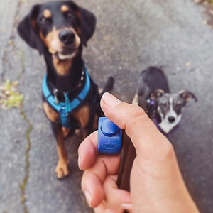 Nuevo diseño anillo de dedo silbato de entrenamiento para perros entrenador de perros profesional entrenamiento de mascotas Abs Acero inoxidable perro <span class=keywords><strong>Clicker</strong></span> - Product Image 2