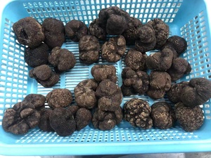 Fungo di tartufo naturale tartufo di funghi neri freschi selvatici cinesi - Product Image 3