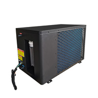 Refroidisseur plongeant froid de récupération de bain de glace avec ozone et filtre pour piscine plongeante à usage extérieur/intérieur