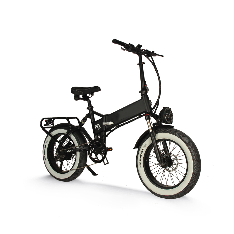 ADN-M1 PM 48V16Ah 750W Foldable Ebike shimano 9 Speed 20inch 4.0 Fat Tire 45km/h Range 65~100km Electric Bicycle Commuting City