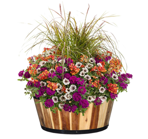 Lot de Jardinières Carrées en Bois Rustique Blanchi, Supports à Fleurs - Product Image 5