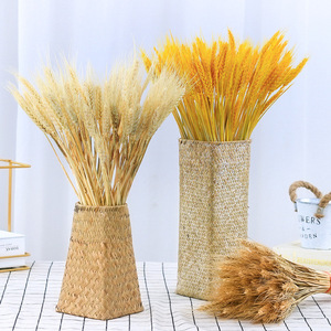 Fiori Secchi di Grano, Piante Pastorali Naturali in Colori Primari per Decorazioni Autunnali - Product Image 6