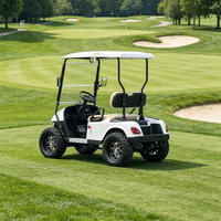 Voiture de golf électrique 60V à 2 places avec une autonomie de 90 km et une puissance de 3,5 kW