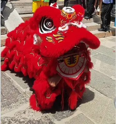 Funtoys danza del león chino LED South Lion China Foshan disfraz de dibujos animados Performance prop Dragon y Lion danzas disfraz