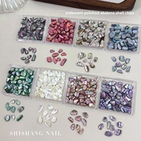 Paillettes de coquille d'ormeau naturel colorées Paso Sico, brillantes et polies, pour nail art, irrégulières, irisées, style minimaliste, DIY