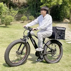 電動自転車48v 500w 10リチウム電池電動自転車ミニ自転車Ebike26インチファットタイヤeバイク2000w