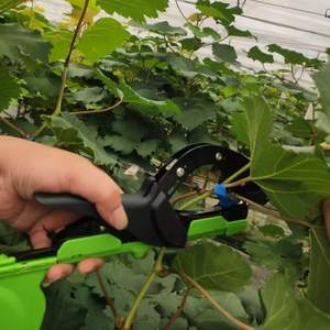 Máquina Atadora de Plantas Eficiente para Cultivos de Tomate, Uva y Vides en Invernadero - Product Image 1