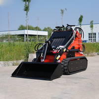 Livraison Gratuite Chargeuse Frontale Mini Chargeuse Compacte Chargeuse-Pelleteuse Excavatrice avec Moteur EPA CE DDP d'Usine à Vendre