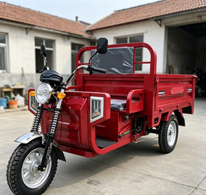 Triciclo Eléctrico <span class=keywords><strong>Wolverine</strong></span> de Carga con Certificación DOT, Precio de Fábrica, 400 kg de Carga Útil y 70 km/h de Velocidad, Tanzania del Sur - Product Image 5